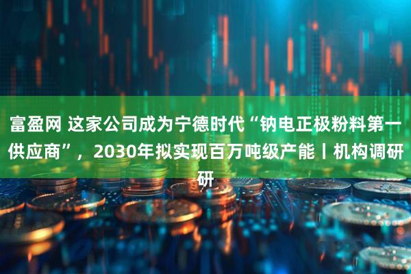 富盈网 这家公司成为宁德时代“钠电正极粉料第一供应商”，2030年拟实现百万吨级产能丨机构调研