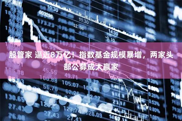 股管家 逼近8万亿！指数基金规模暴增，两家头部公募成大赢家